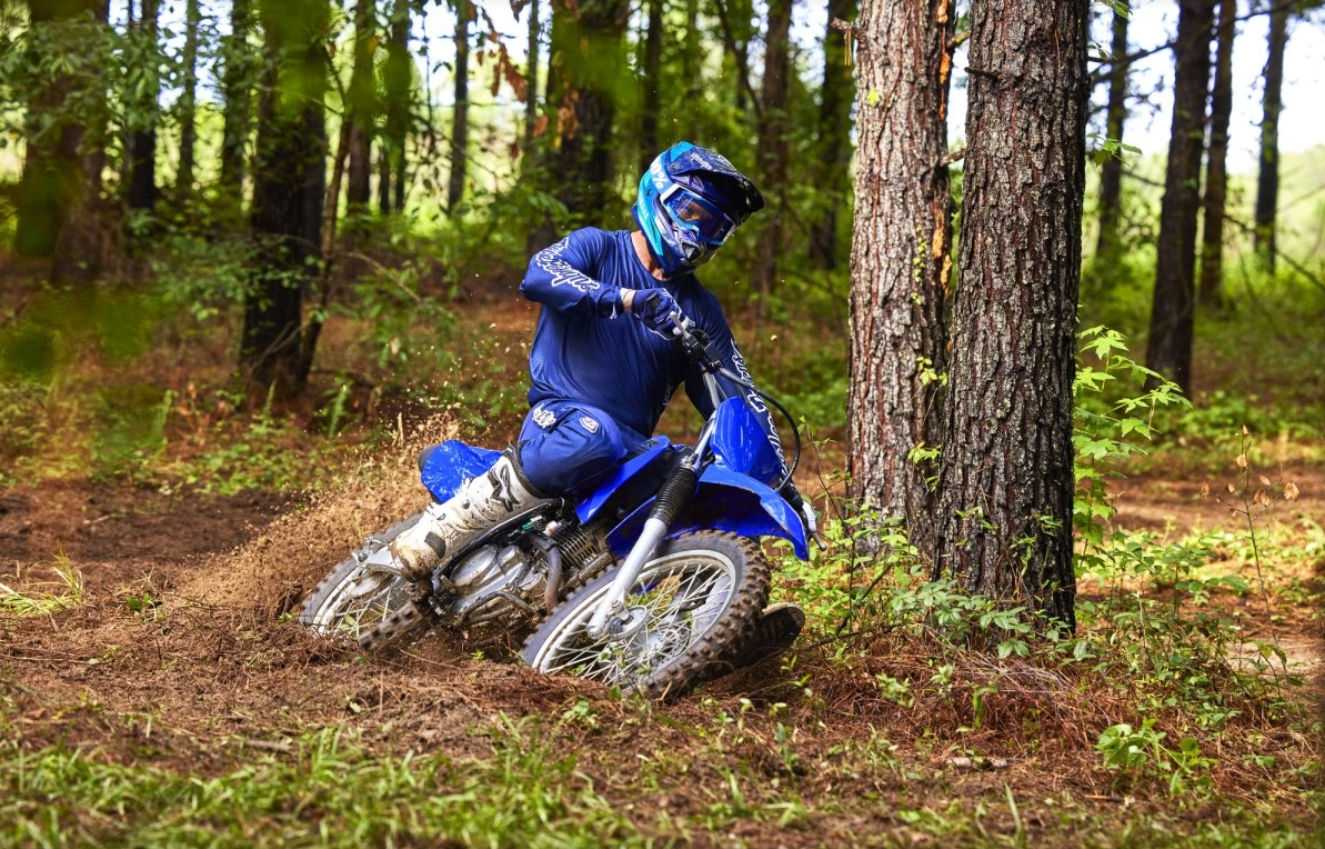 2024 Yamaha TTR230