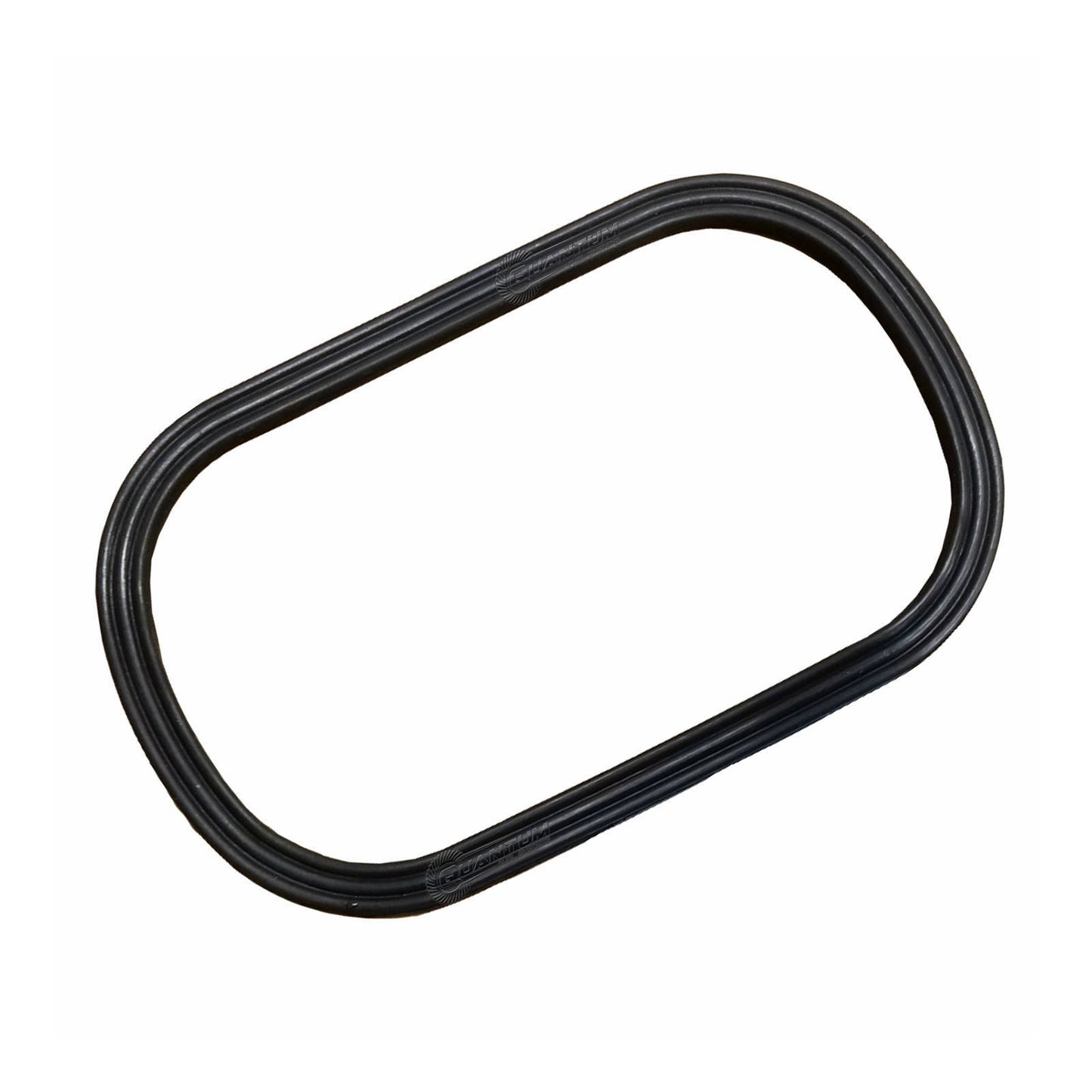 Quantum Fuel Pump Tank Seal Gasket