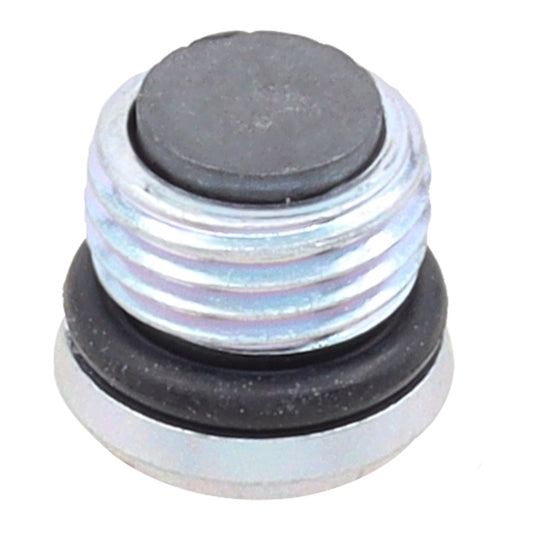 Whites Magnetic Drain Plug M10 x 6.9 - P1.0