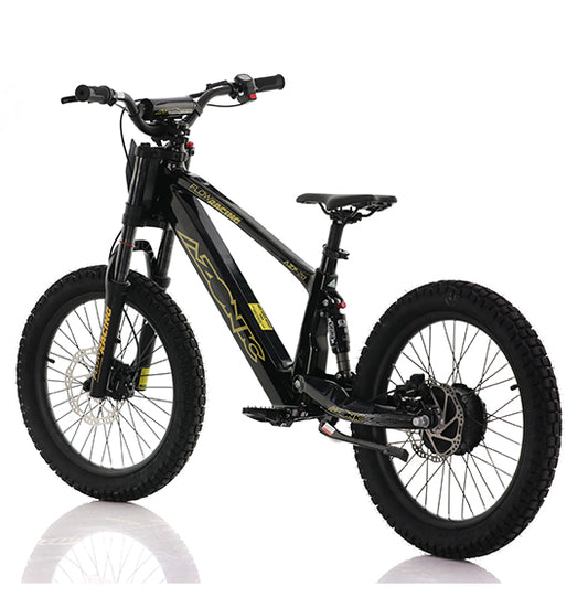 AZONIC Flow 20 (AZF-20) - Electric Balance Bike