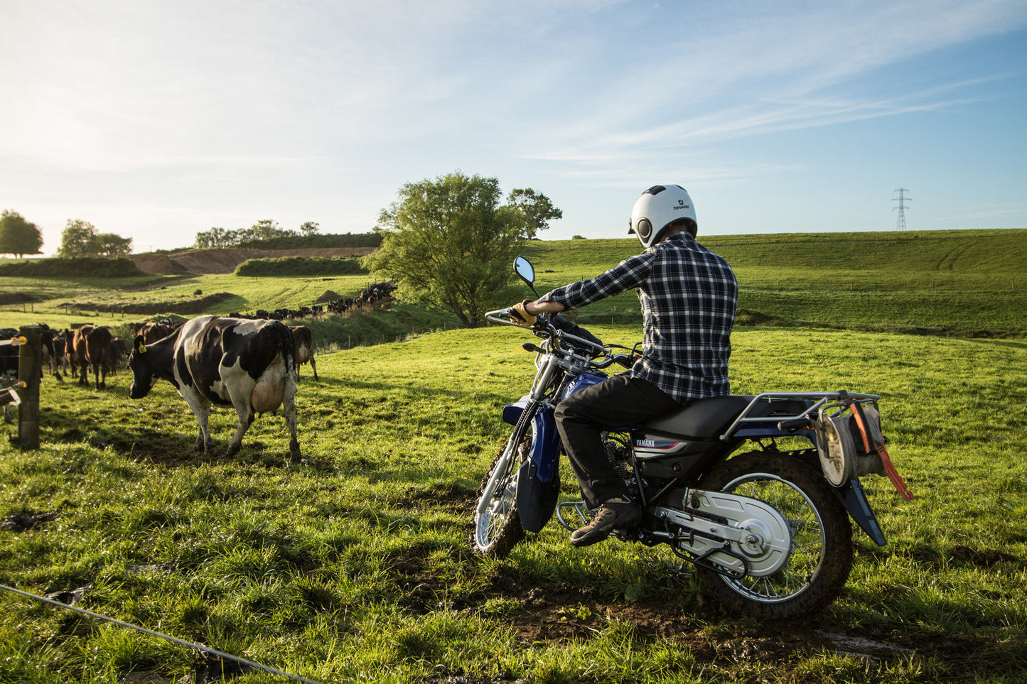 2025 Yamaha AG125