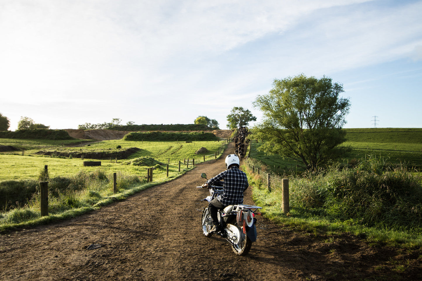 2025 Yamaha AG125