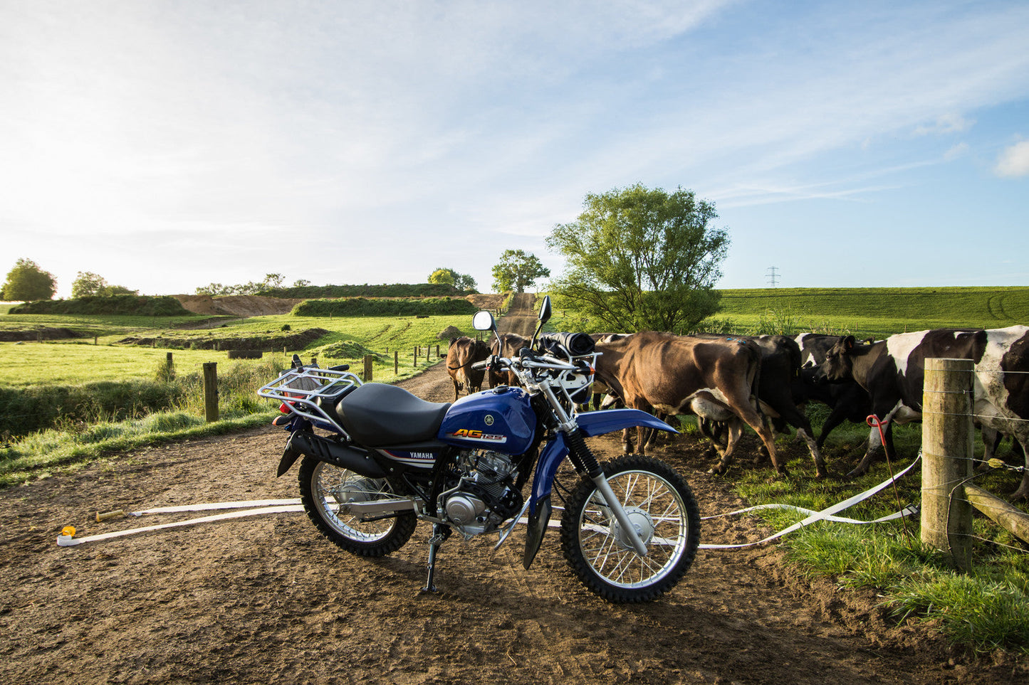 2025 Yamaha AG125