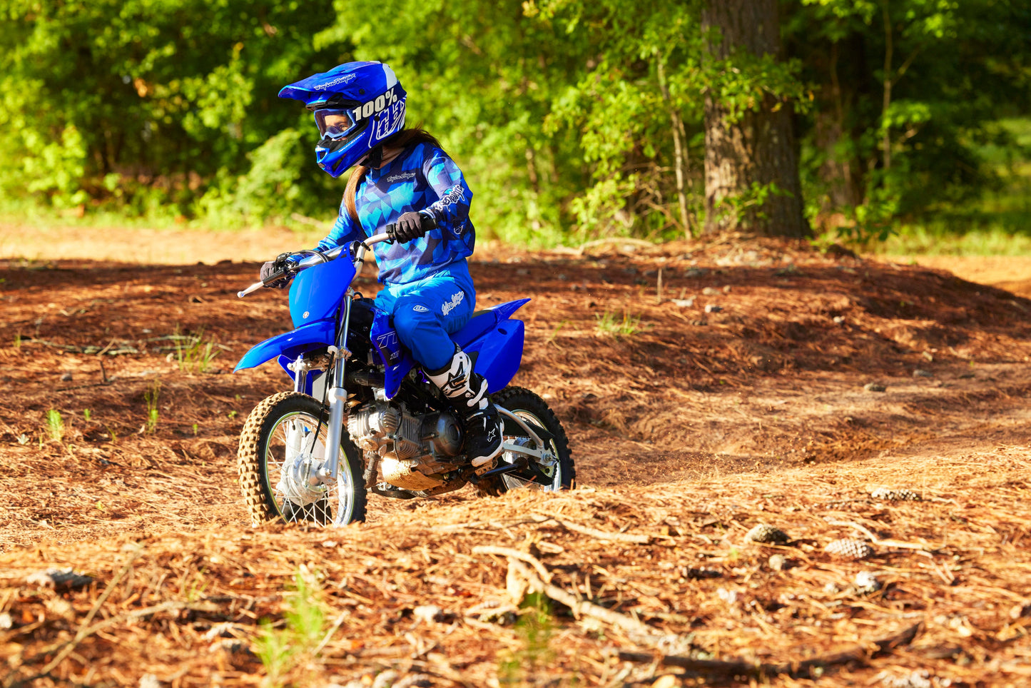 2025 Yamaha TTR110E