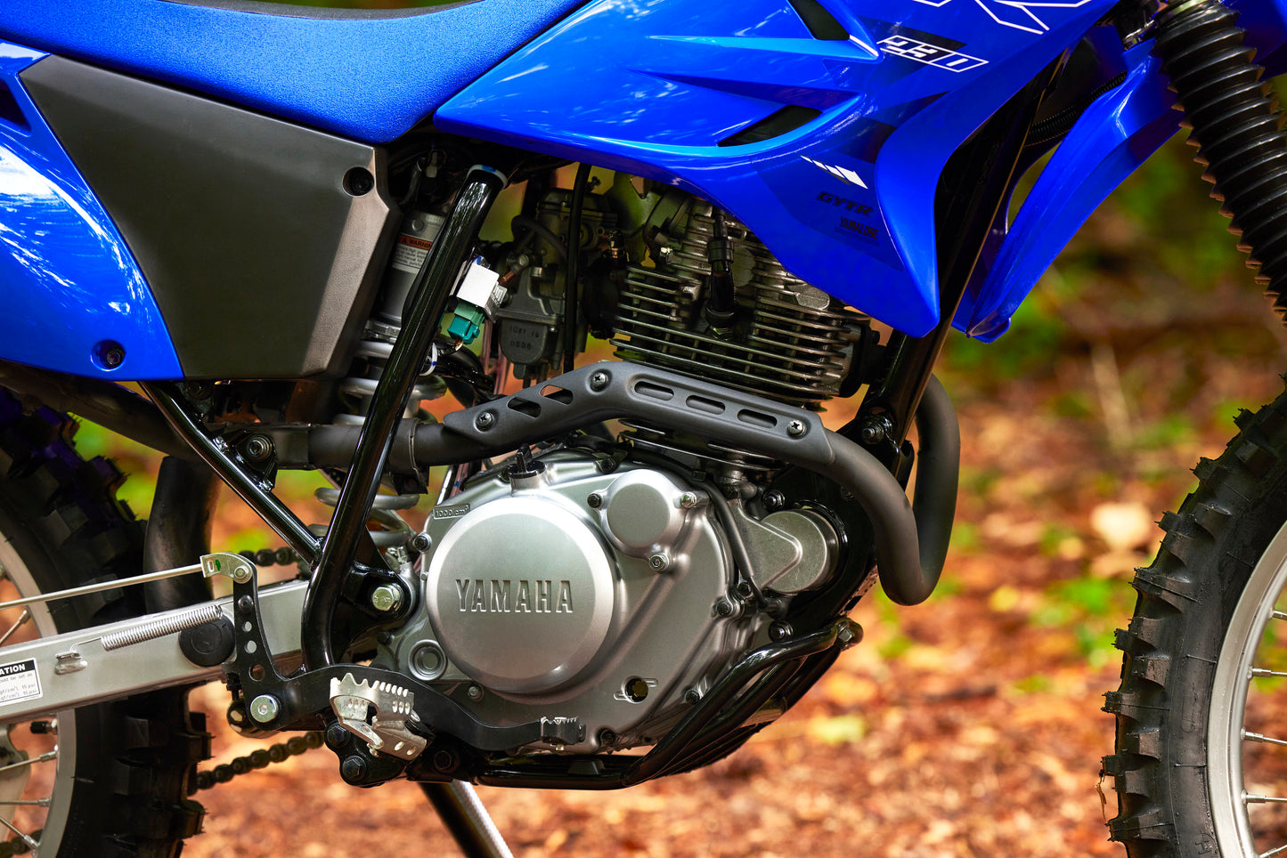 2023 Yamaha TTR230