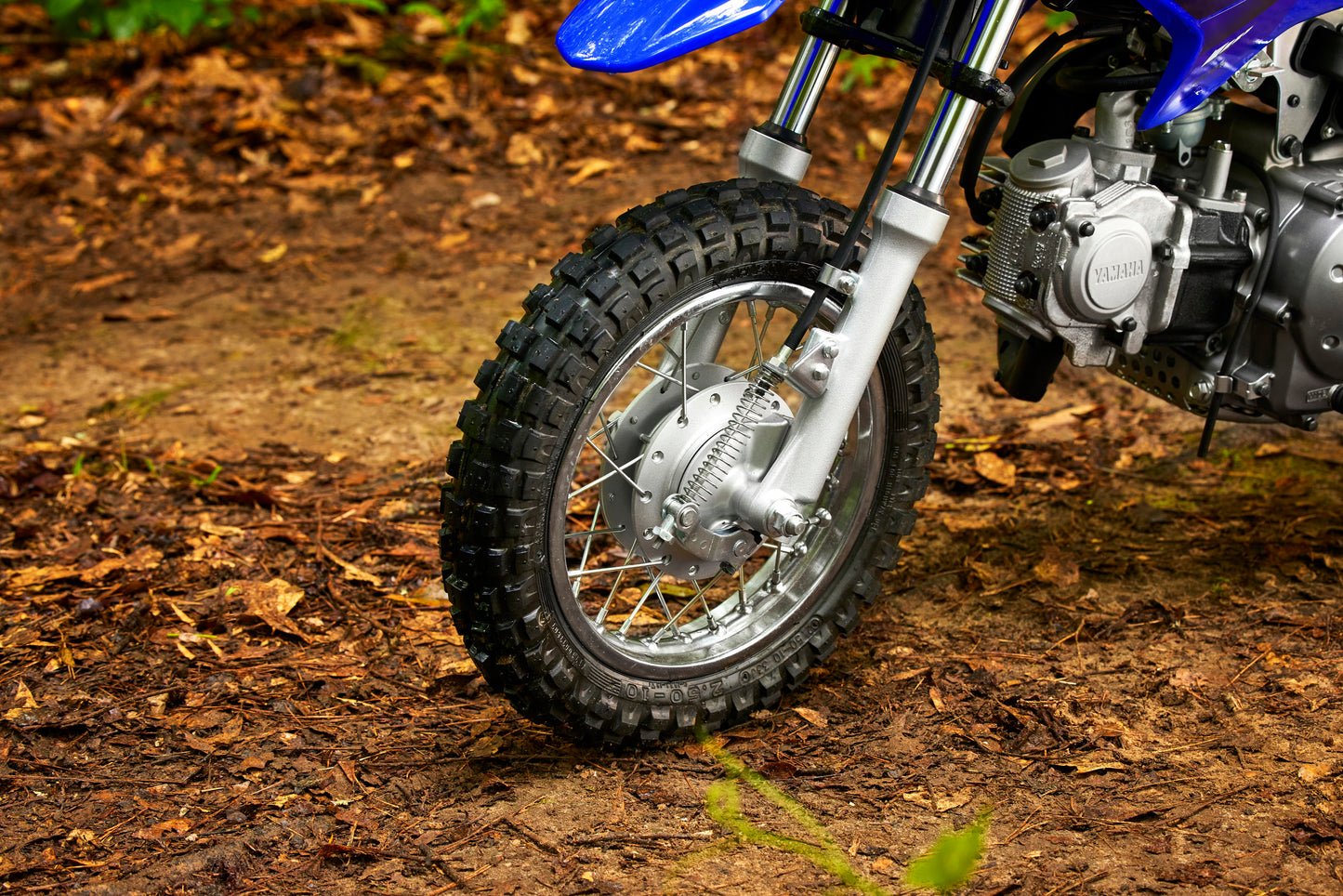 2023 Yamaha TTR50E