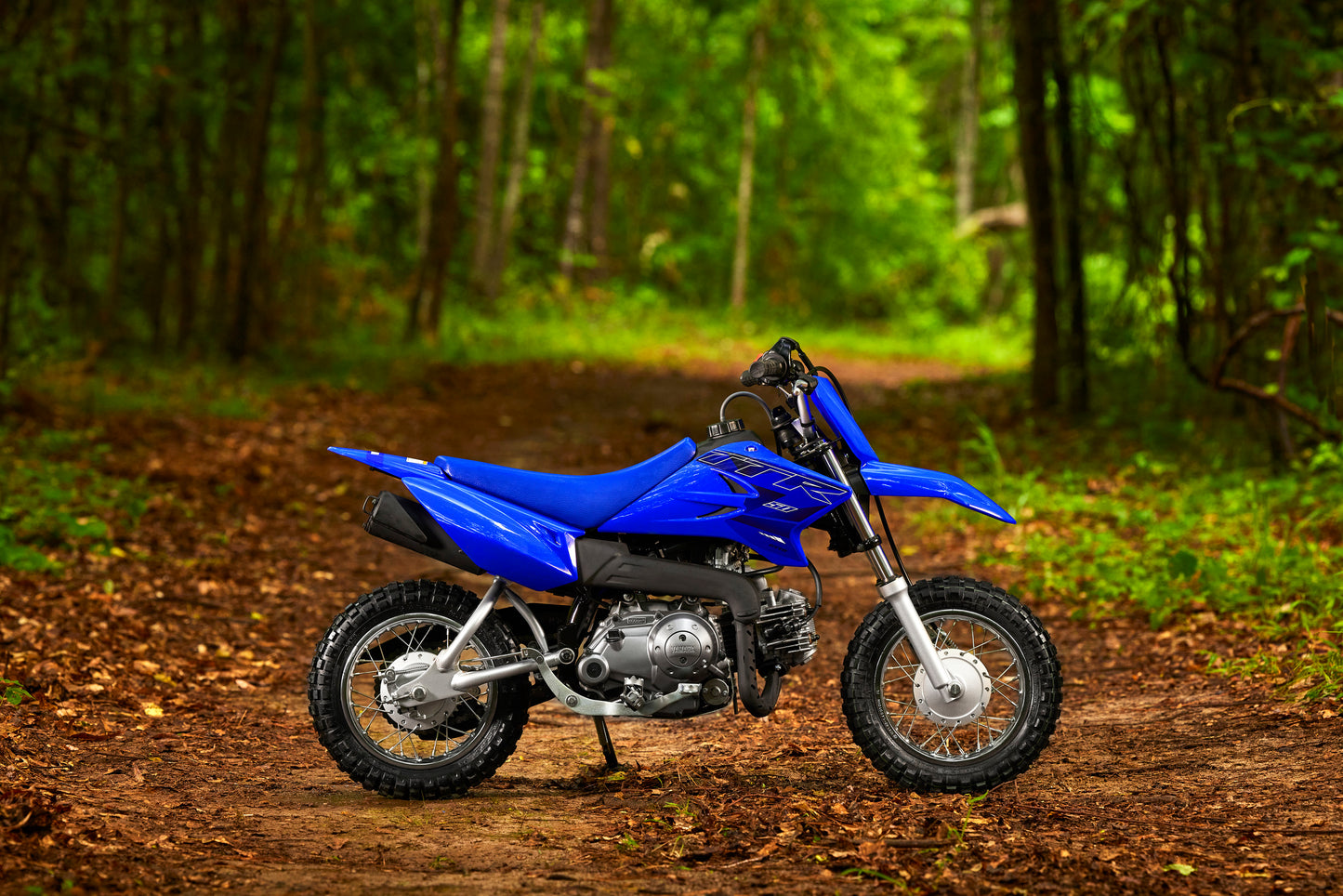 2023 Yamaha TTR50E