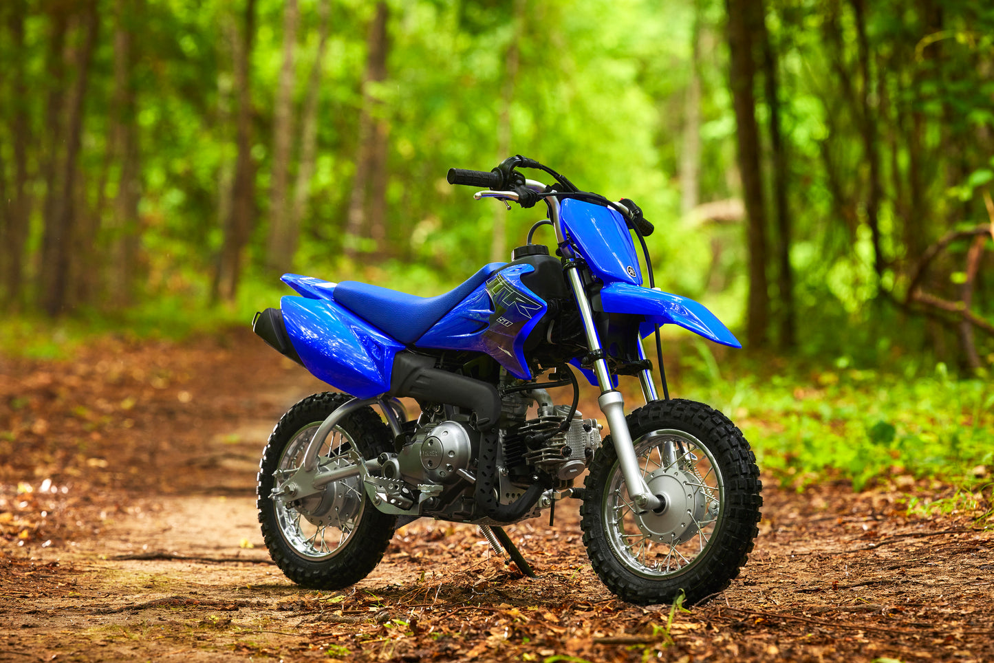 2023 Yamaha TTR50E