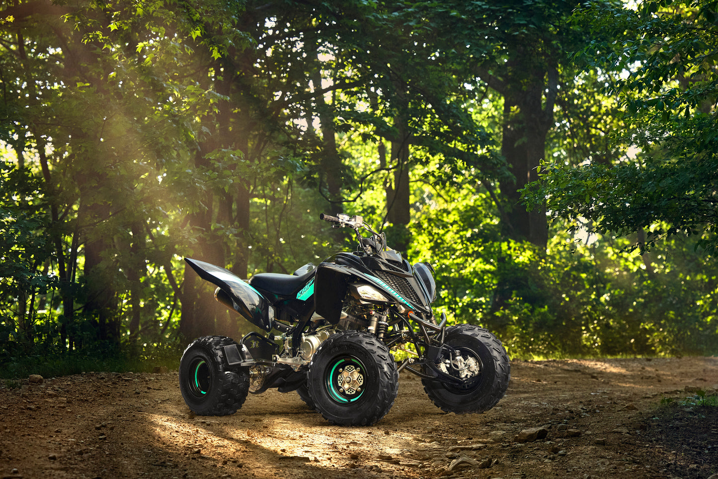 2024 Yamaha YFM700R SE