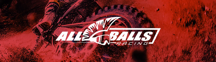 All Balls Racing