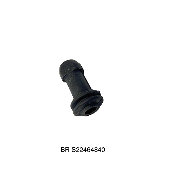 BR S22464840