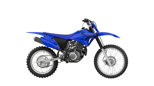 2024 Yamaha TTR230