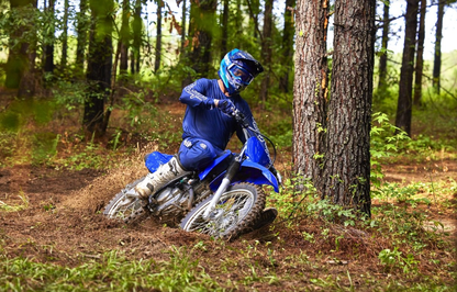 2024 Yamaha TTR230