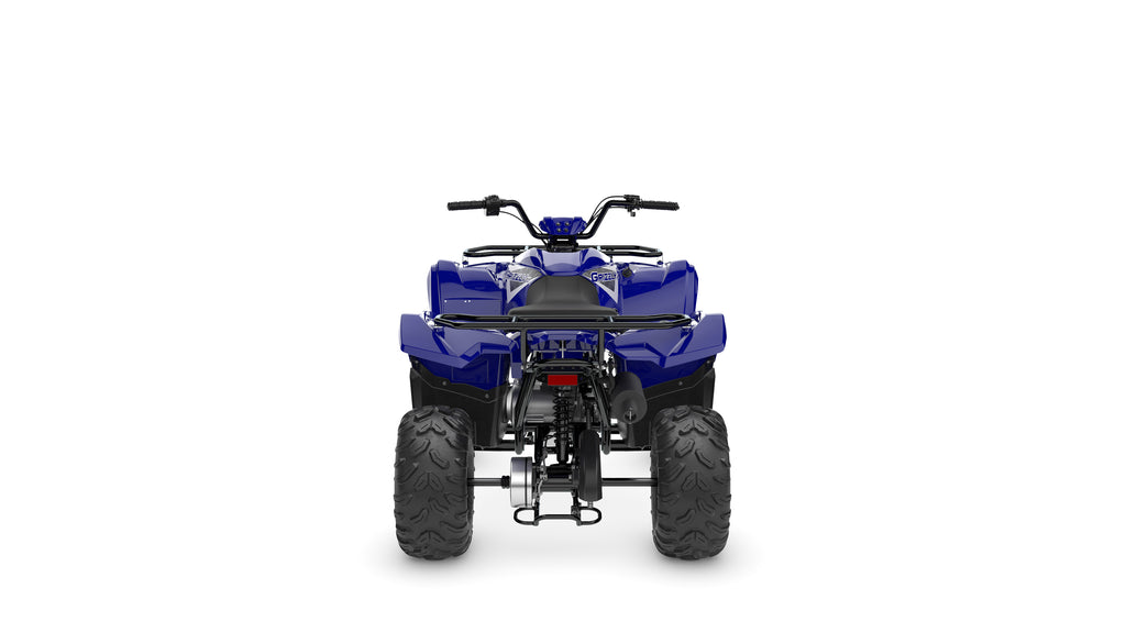 2025 Yamaha YFM110 Grizzly