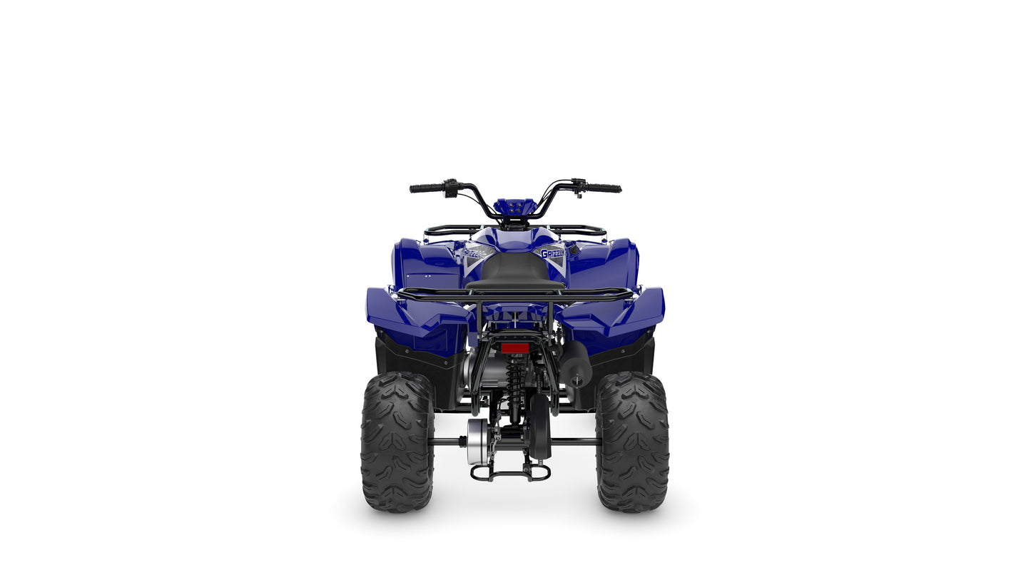 2025 Yamaha YFM110 Grizzly