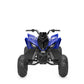 2025 Yamaha YFM110R Raptor
