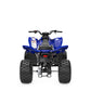 2025 Yamaha YFM110R Raptor