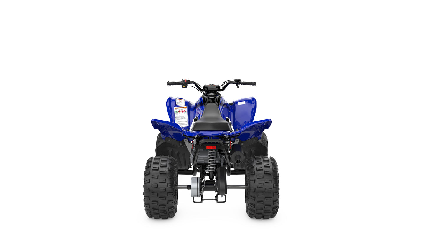 2025 Yamaha YFM110R Raptor