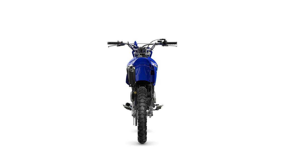 2025 Yamaha TTR125LW