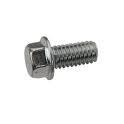 *PSYCHIC BOLTS 6X40MM 8MM HEAD 25 PACK