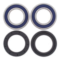 All Balls Racing Wheel Bearing Kit (25-1299)