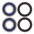 All Balls Racing Wheel Bearing Kit (25-1389)