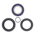 All Balls Racing Wheel Bearing Kit (25-1572)