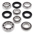 DIFFERENTIAL BEARING AND SEAL KIT 25-2074