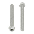 Bolt Euro Torx 6x40mm Flange Bolt (Packet of 10) Refill