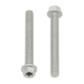 Bolt Euro Large Torx 6x20mm Flange Bolt (Packet of 10)