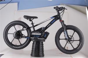 Balance Electric Bike Charged 20" Wheels 500w