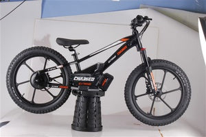 Balance Electric Bike Charged 20" Wheels 500w