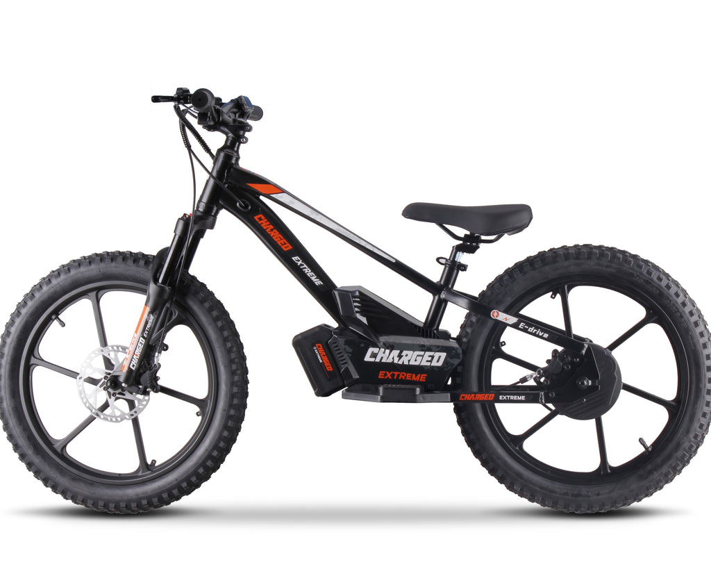 Charged Electric Balance Bike 20" Wheels 500W