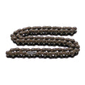 Oil Pump Roller Chain Kit