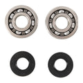 Main Bearing and Seal Kit