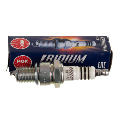 NGK Spark Plug - BPR6EIX (6637)