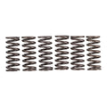 Premier Clutch Springs - Heavy Duty