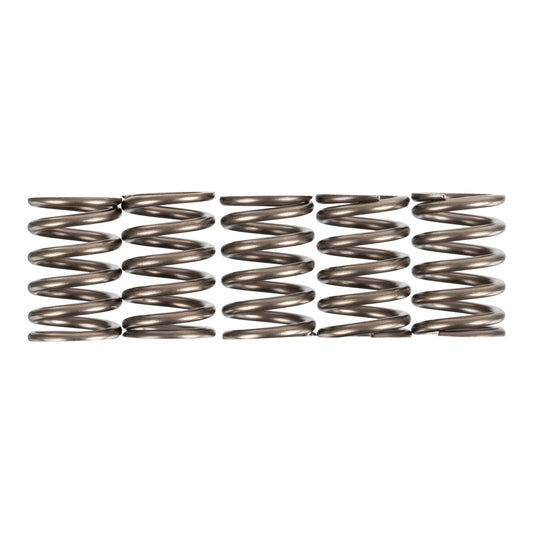 Premier Clutch Springs - Heavy Duty