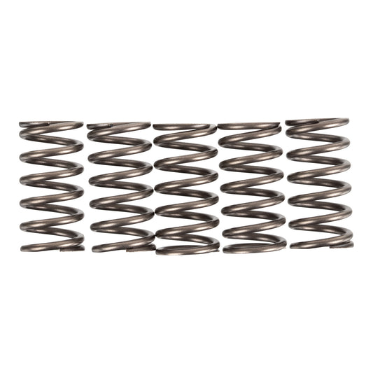 Premier Clutch Springs - Heavy Duty