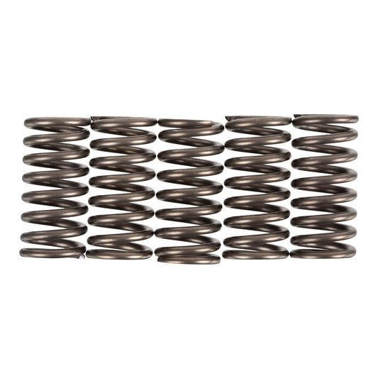Premier Clutch Springs - Heavy Duty