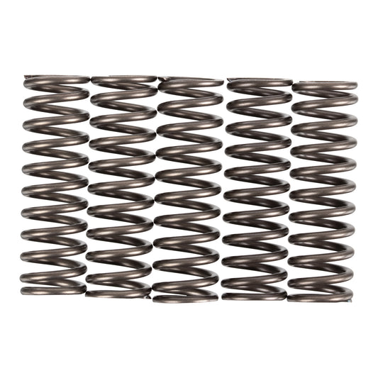 Premier Clutch Springs - Heavy Duty