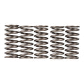 Premier Clutch Springs - Heavy Duty