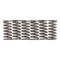 Premier Clutch Springs - Heavy Duty