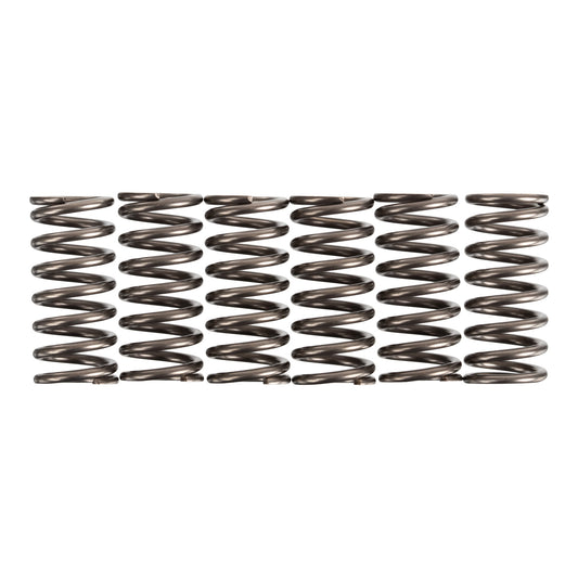 Premier Clutch Springs - Heavy Duty