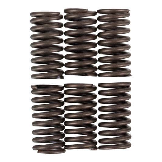 Premier Clutch Springs - Heavy Duty