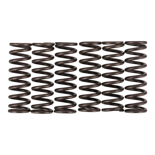 Premier Clutch Springs - Heavy Duty