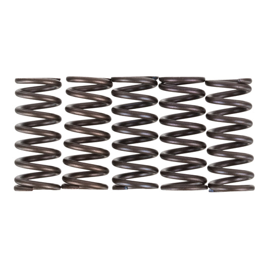 Premier Clutch Springs - Heavy Duty