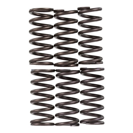 Premier Clutch Springs - Heavy Duty