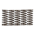 Premier Clutch Springs - Heavy Duty