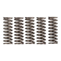 Premier Clutch Springs - Heavy Duty